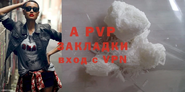 Альфа ПВП Новозыбков