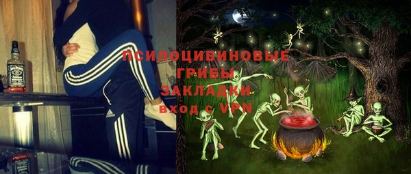 mdpv Няндома