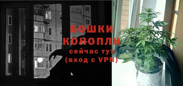 Альфа ПВП Новозыбков