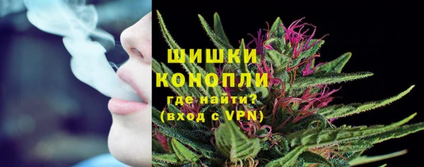 Альфа ПВП Новозыбков